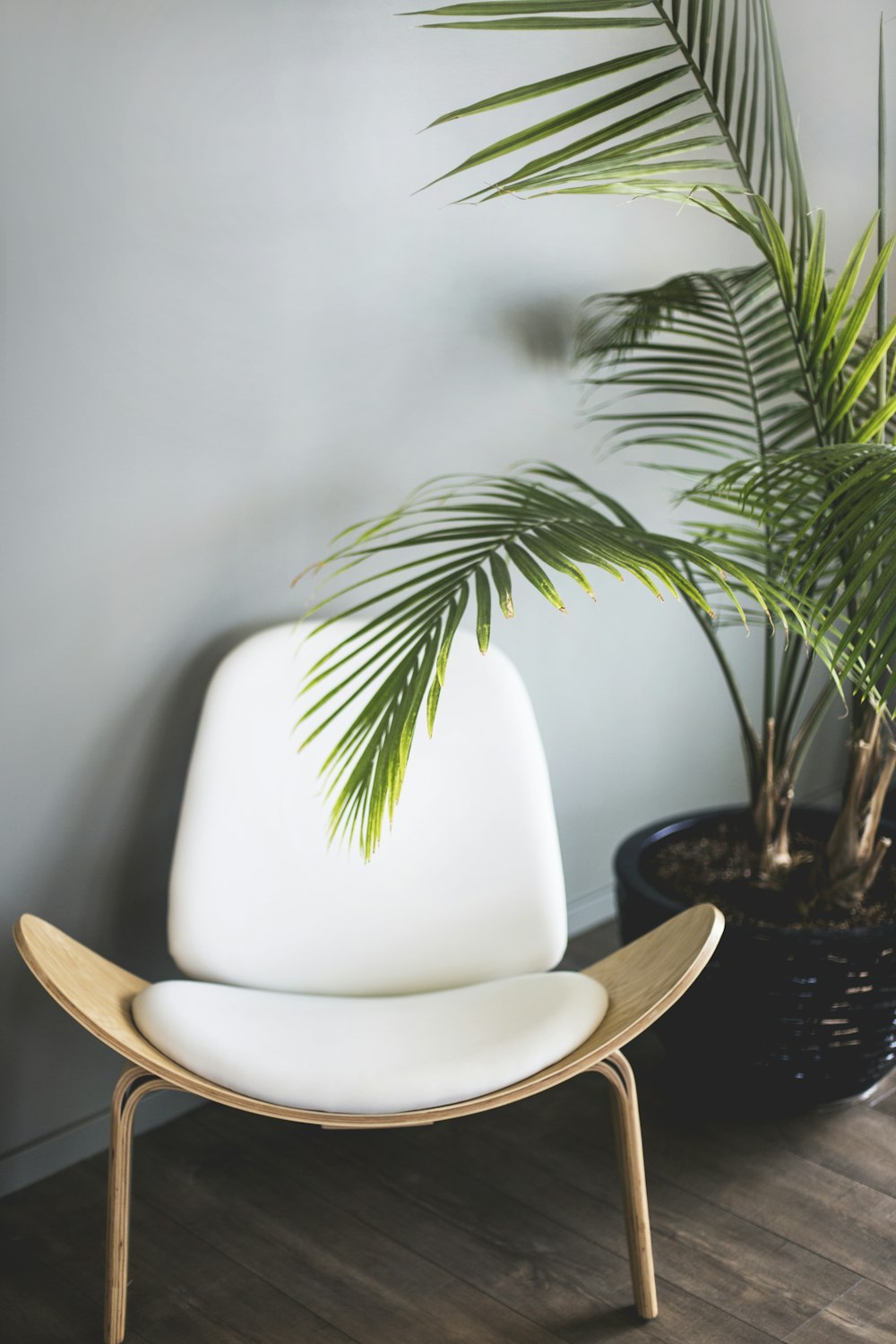 Silla de madera marrón al lado de la planta