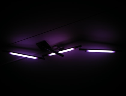 purple fluorescent lamps