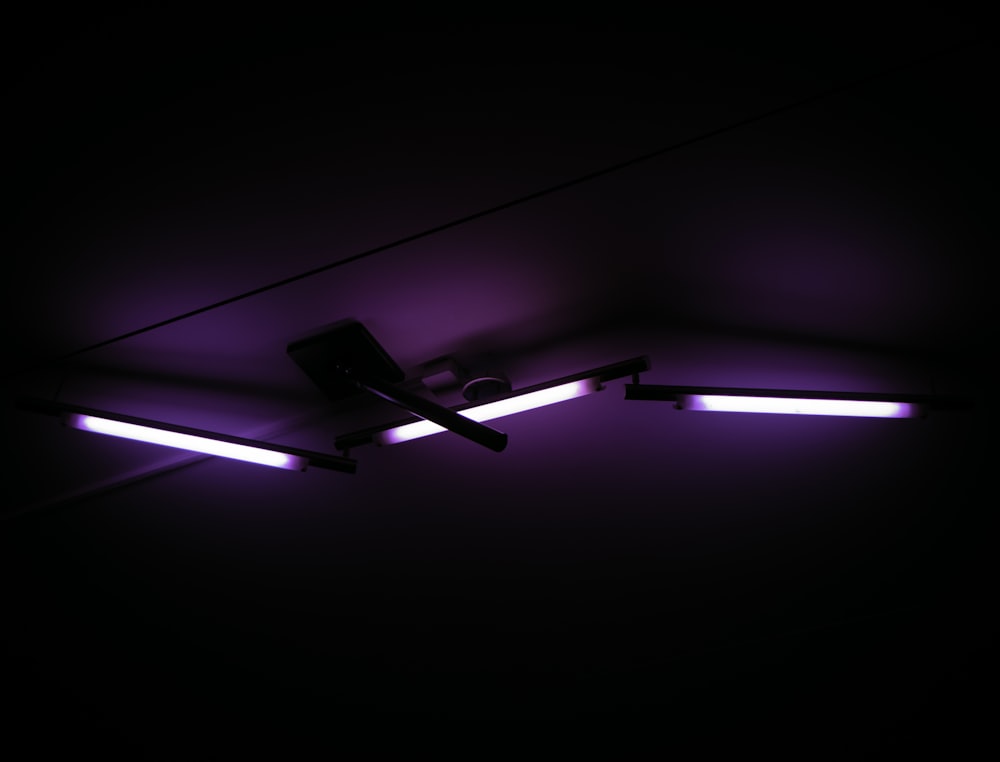 purple fluorescent lamps