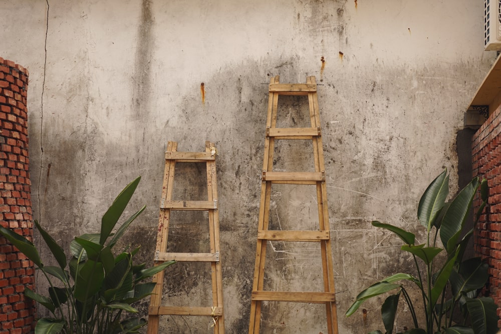two brown wooden ladders