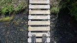 A group of hikers crossing a wooden bridge over a clear mountain stream.