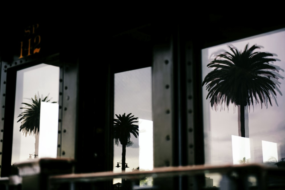 black building with glass walls mounted with silhouette of tree stickers