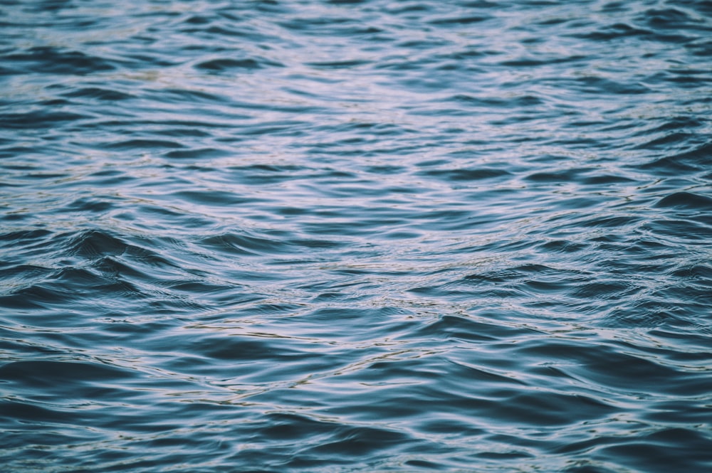 corpo de água com ondas