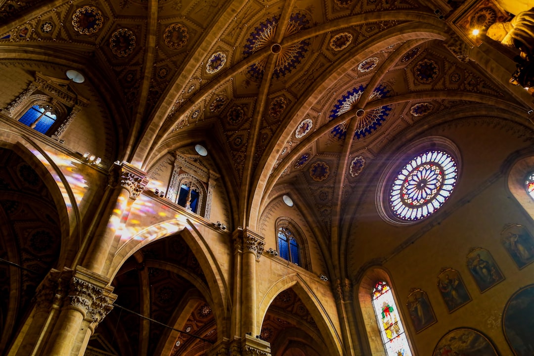 worms-eye-view of cathedral ceiling