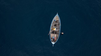 blue and brown boat on body of water