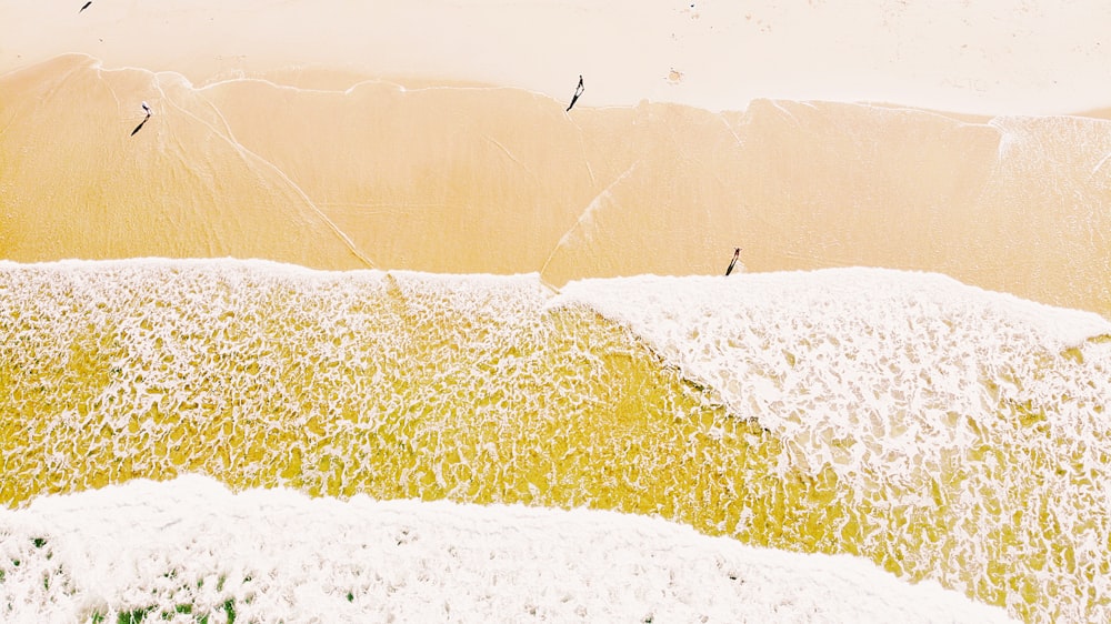 a group of birds flying over a beach next to the ocean