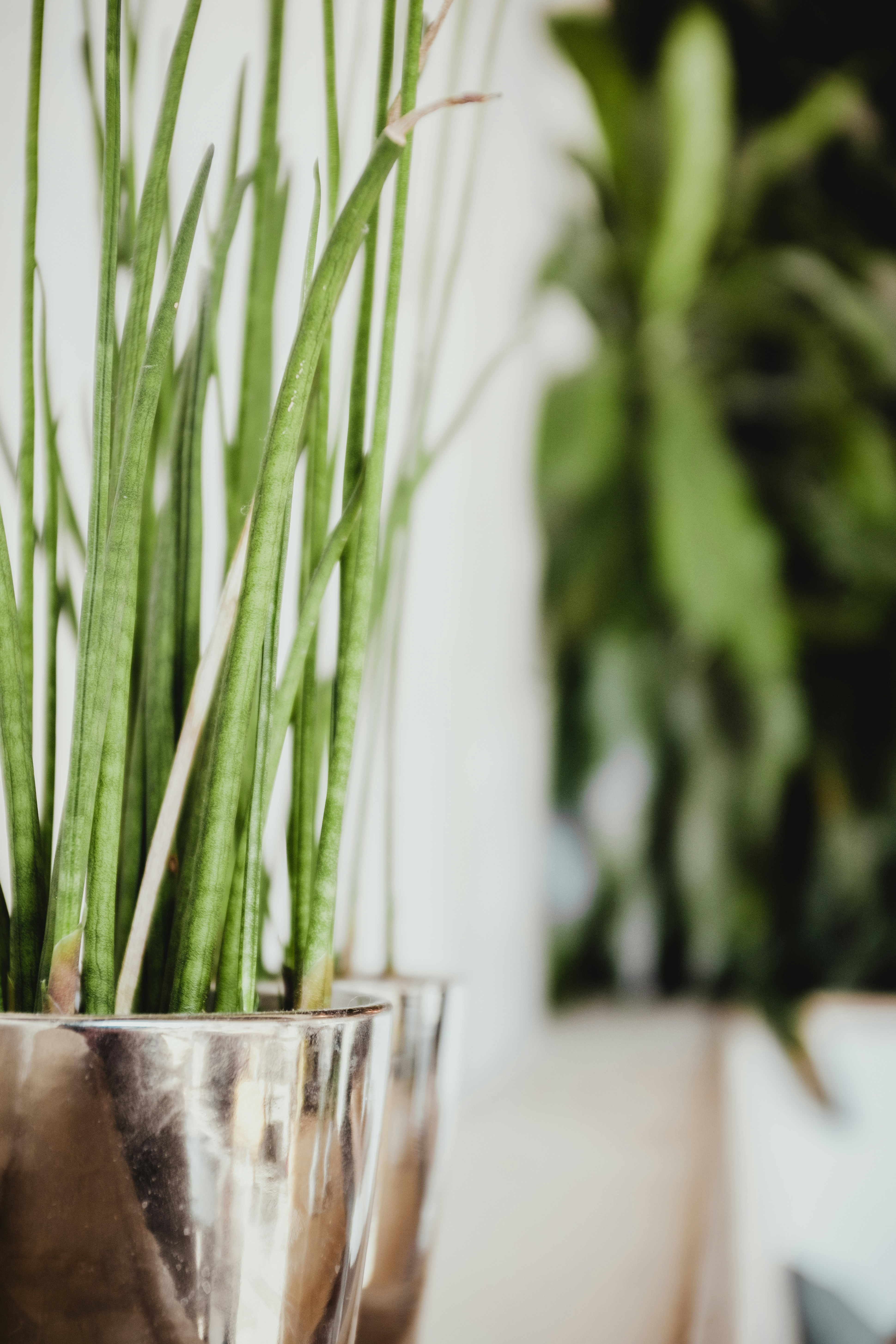 Photo by bernardhermant