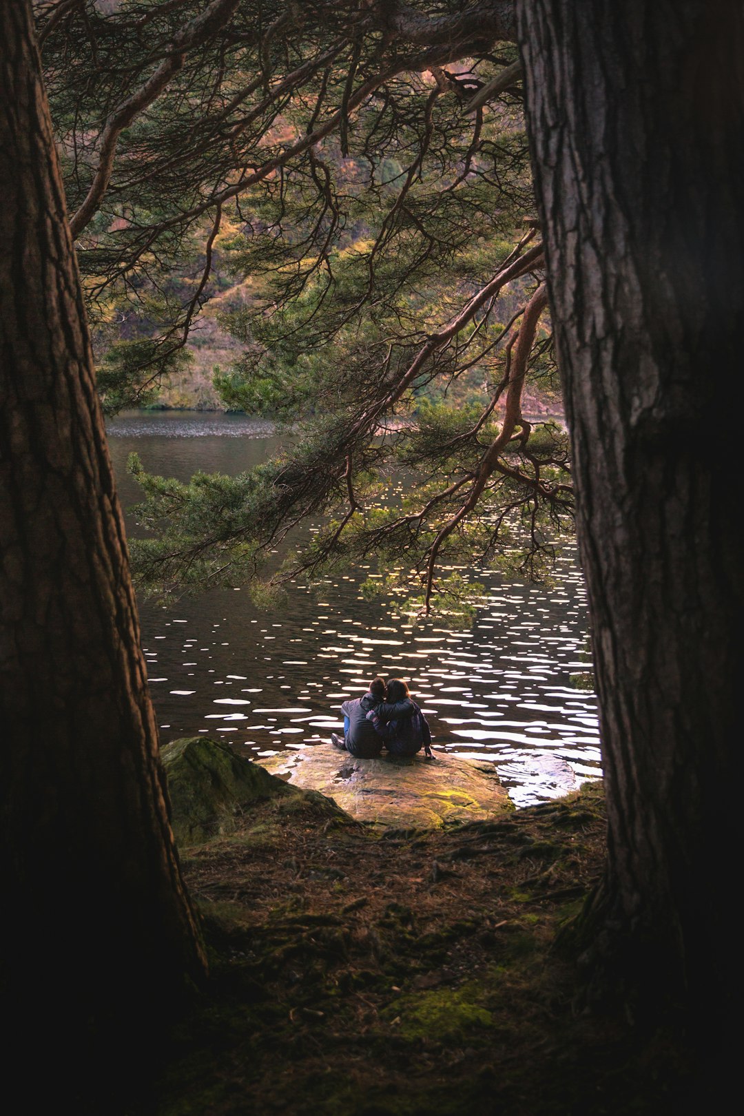 Forest photo spot Glendalough Marlay Park