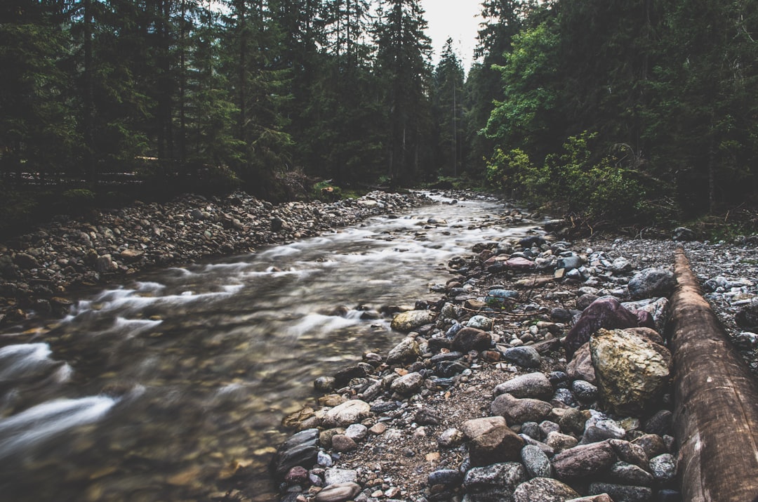 travelers stories about Mountain river in Dolina Chocholowska, Poland