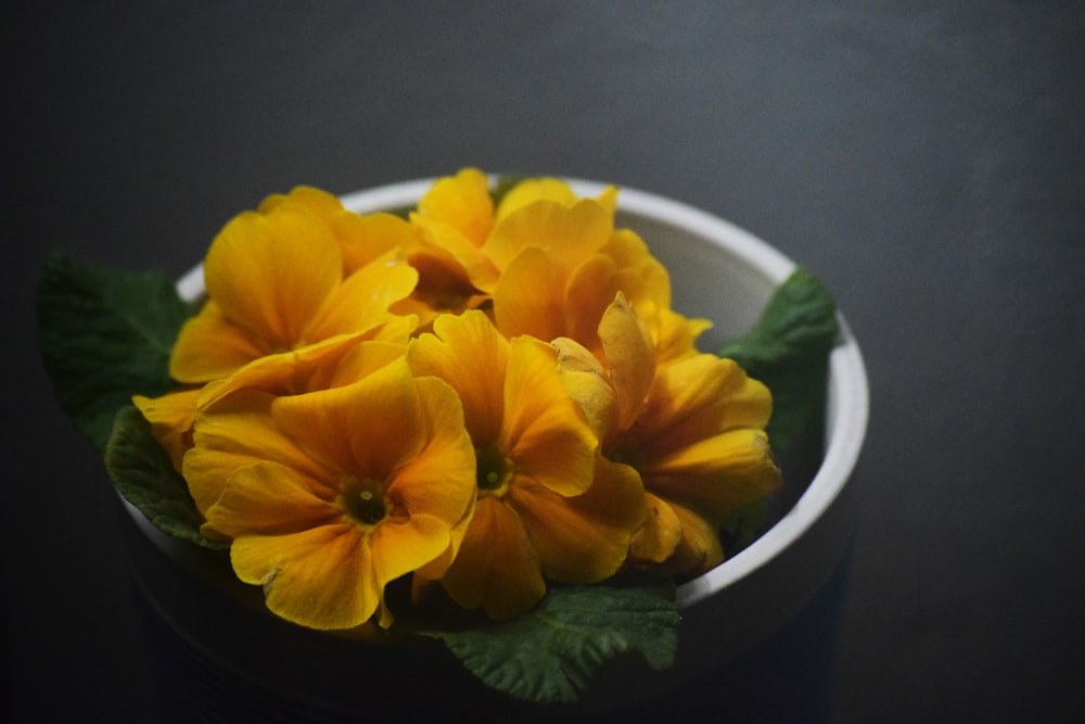 bowl of yellow flowers