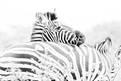 Earthling Vmax and Queen Zombri sharing a rare moment of calm amidst the chaos.