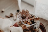 brown petaled flowers in vase inside room at daytime