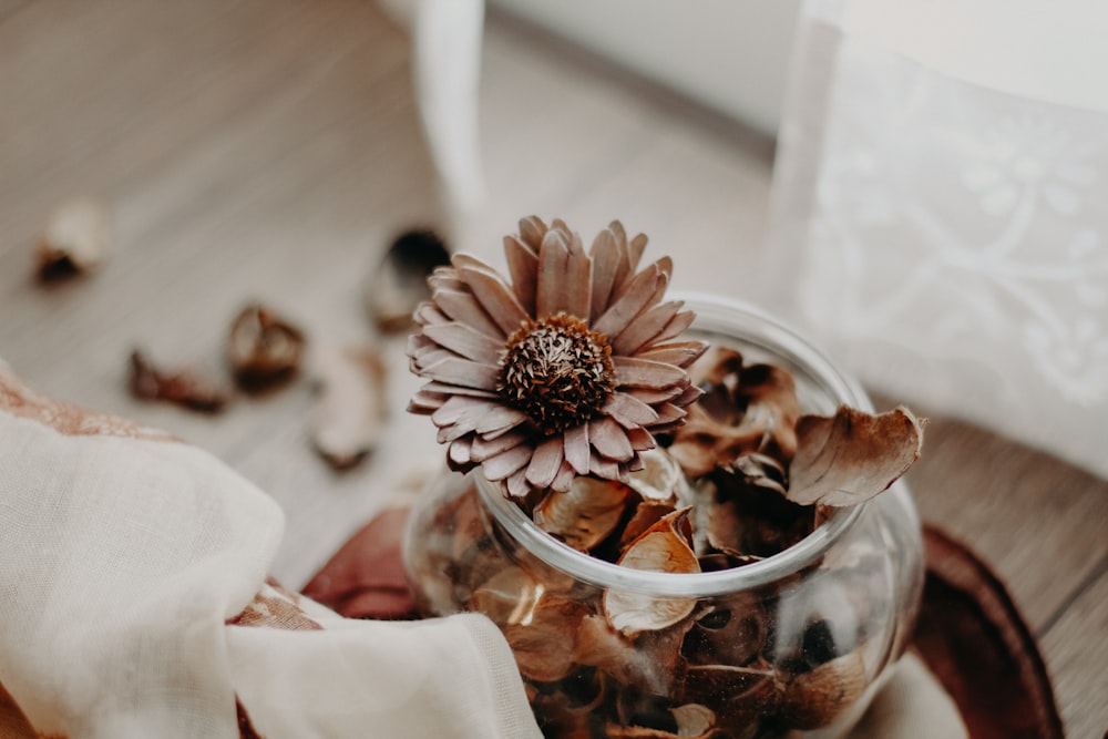 flores de pétalos marrones en jarrón dentro de la habitación durante el día