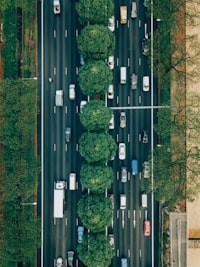 Used car buying guide