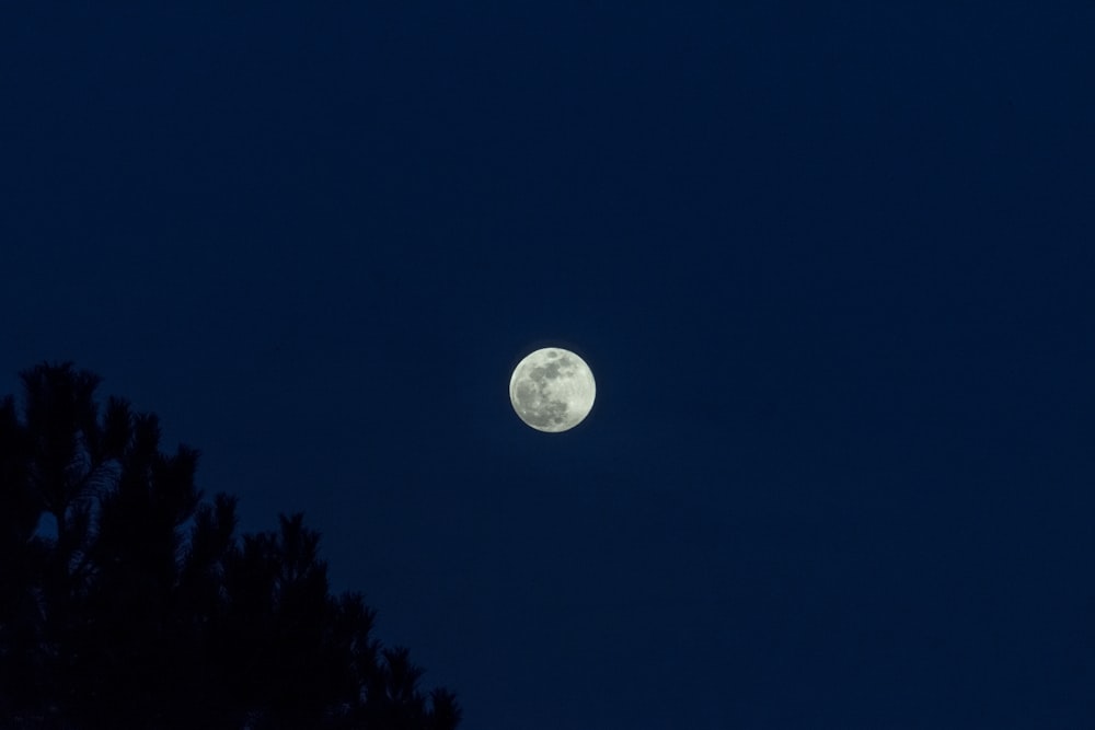 full moon during night time