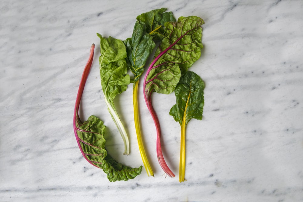 five green spinach leaves on white surface