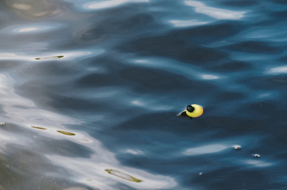 ein gelbes Objekt, das auf einem Gewässer schwimmt