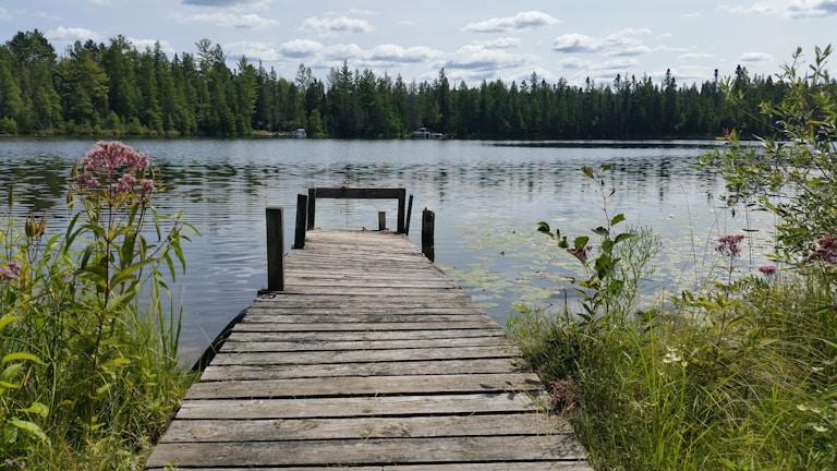 A garden with blooming flowers and a wooden dock reaching out to the river at the Airbnb.