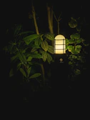 The pagoluz lamp glowing warmly during a quiet evening, surrounded by soft cushions and plants.