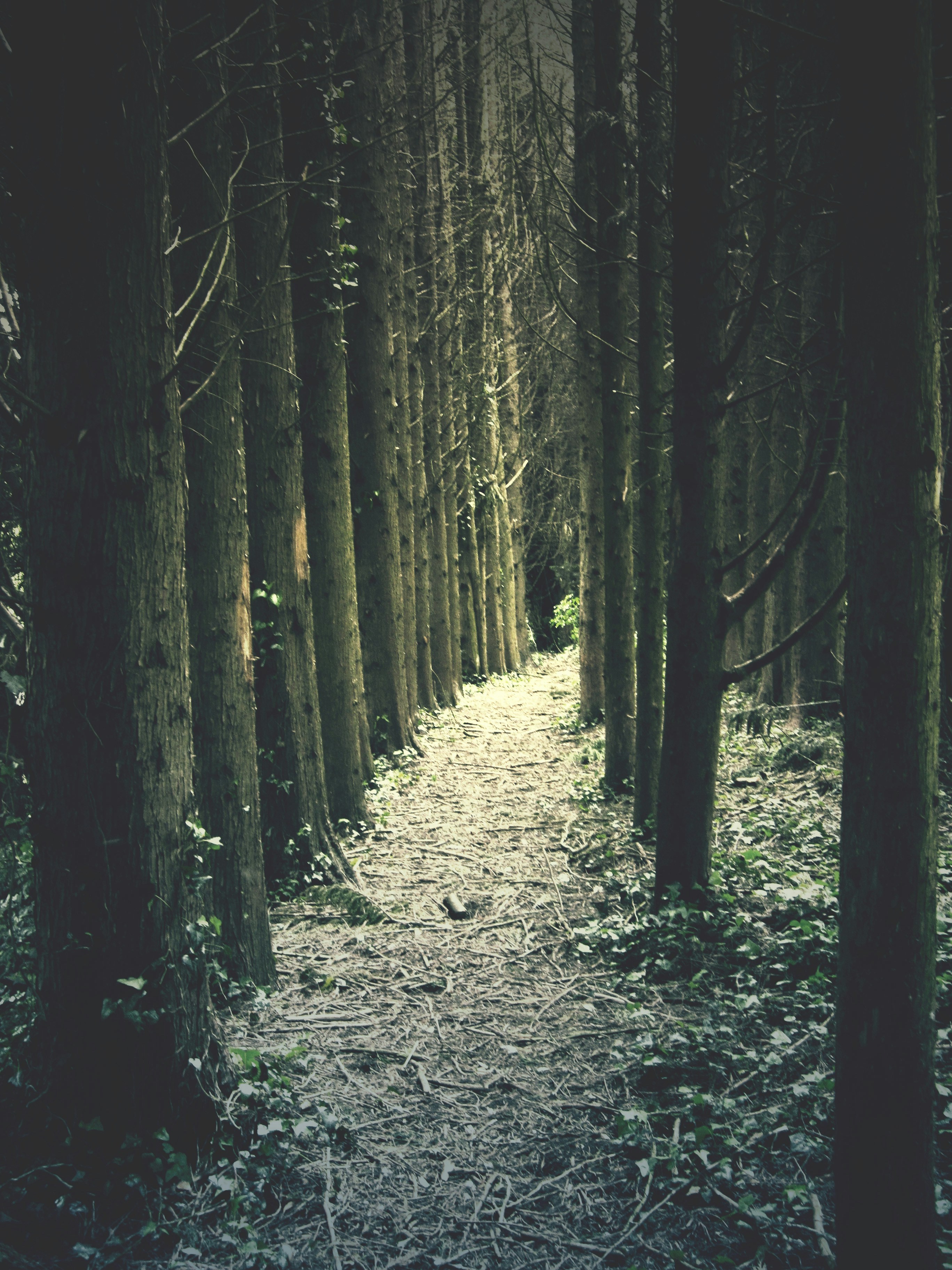 Photo by helloimnik