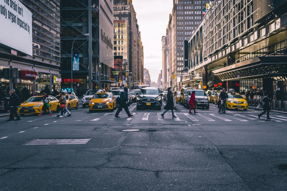 group of people walking on pedestrian