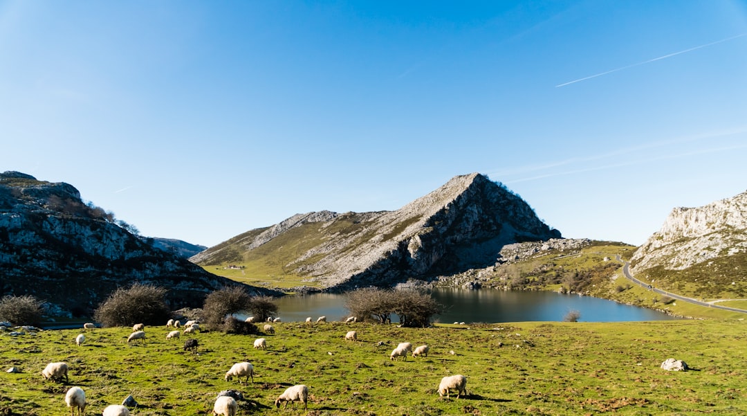 Hill photo spot Lago de la Ercina Cantabria