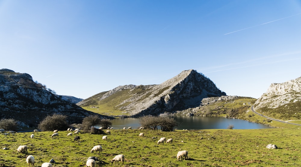 body of water near mountain during daytime