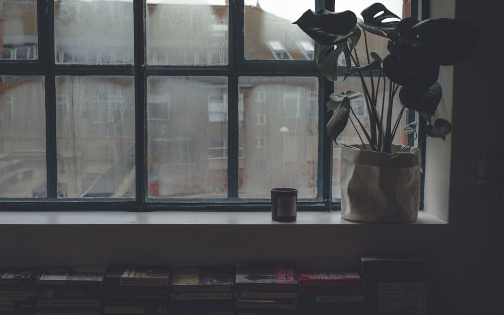 clear glass window near white ceramic vase