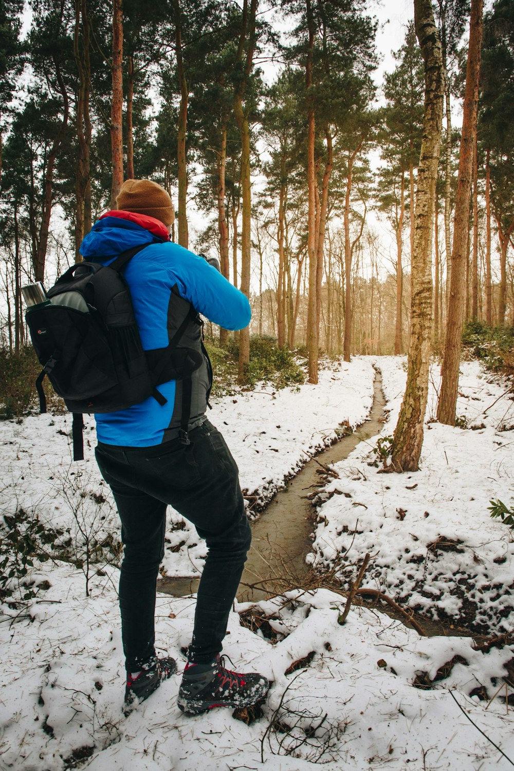 homme marchant entre de grands arbres à feuilles vertes