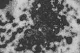 Black coal rocks are scattered on the ground, partially covered by patches of white snow. The scene creates a strong contrast between the dark and light areas, emphasizing the rough texture of the coal and the soft, powdery appearance of the snow.