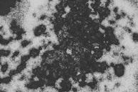 Workers inspecting coal quality at an Indonesian coal mine.