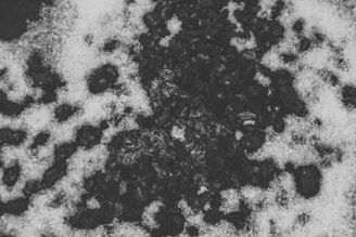 Workers inspecting coal quality at an Indonesian coal mine.