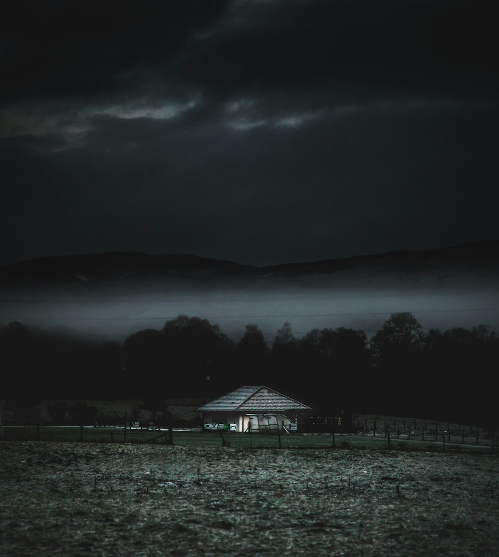 gray wooden house near trees