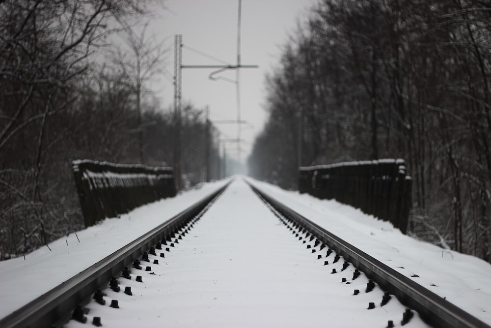 snow covered train rails between bare trees
