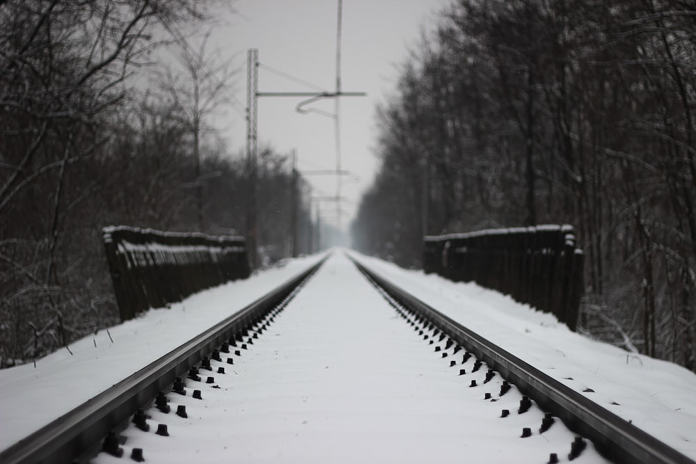 rotaie ferroviarie innevate tra alberi spogli