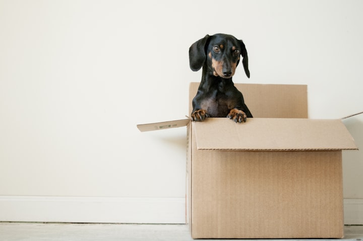 Common Challenges During the Moving Process