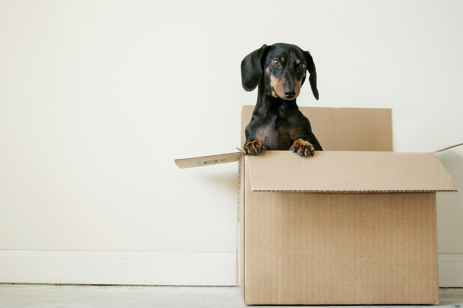 The Stuff Nobody Tells You About Moving Day