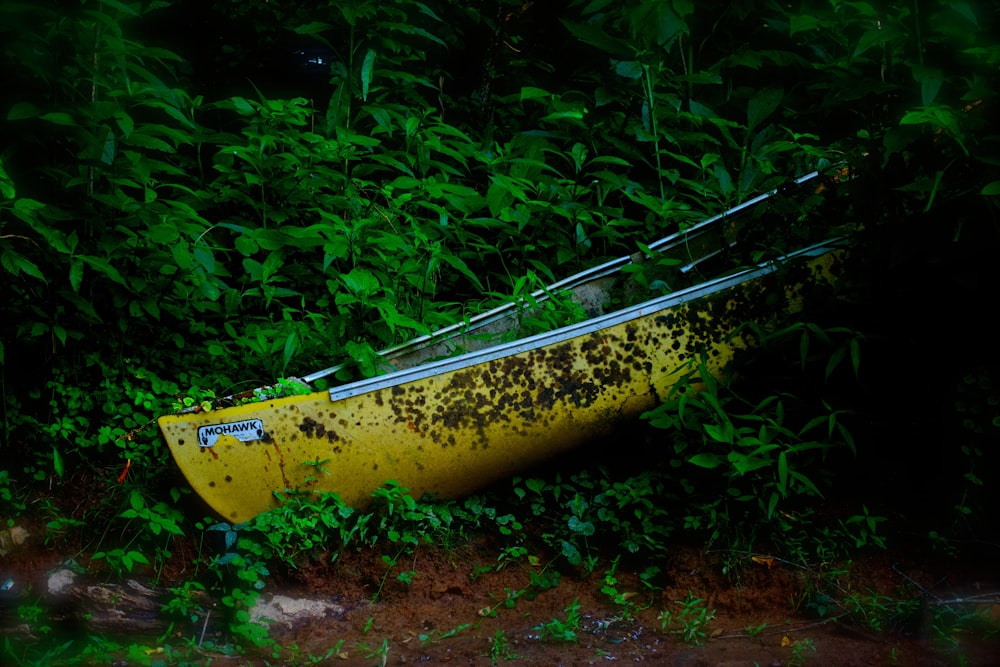 yellow canoe on green leafed plants at daytime