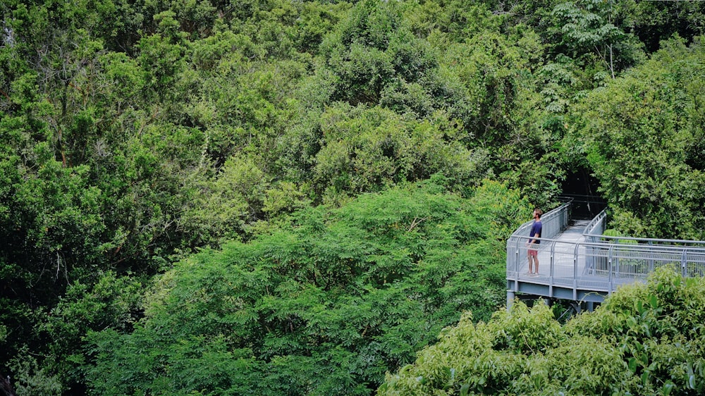 person standing on bridge