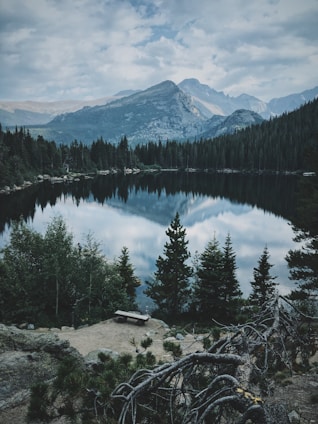 A serene mountain lake reflecting towering pine trees under a clear blue sky at sunrise.