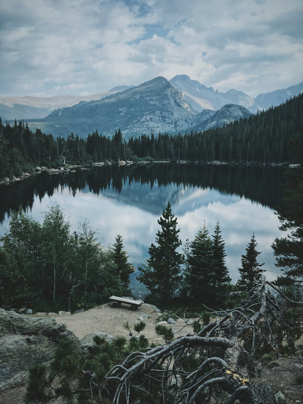 body of water surrounding trees under white sky