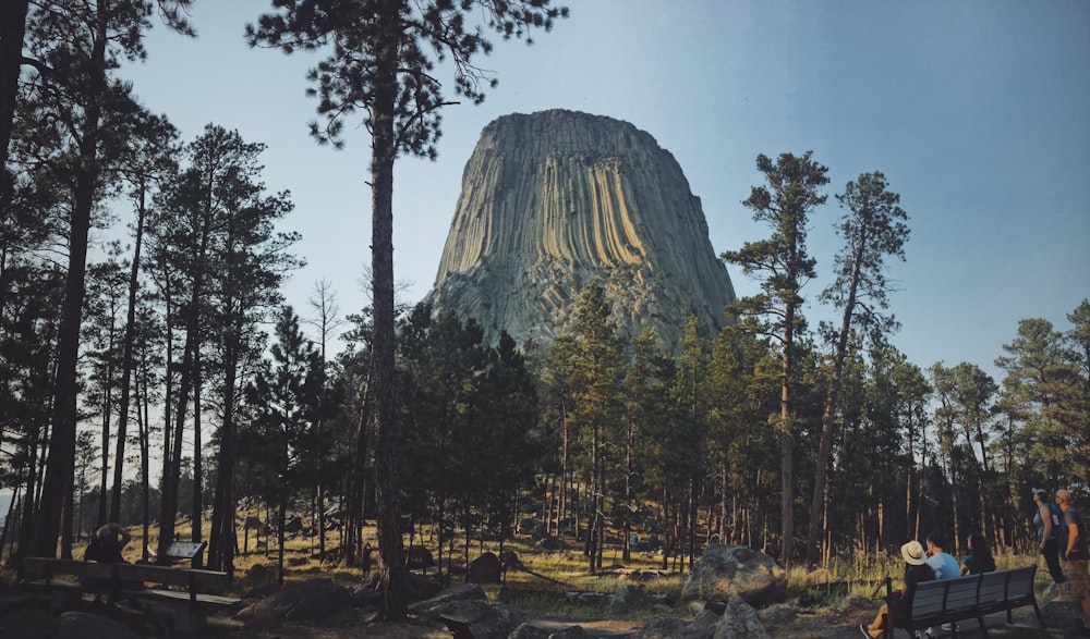 two person's sitting on bench facing mountain and forest