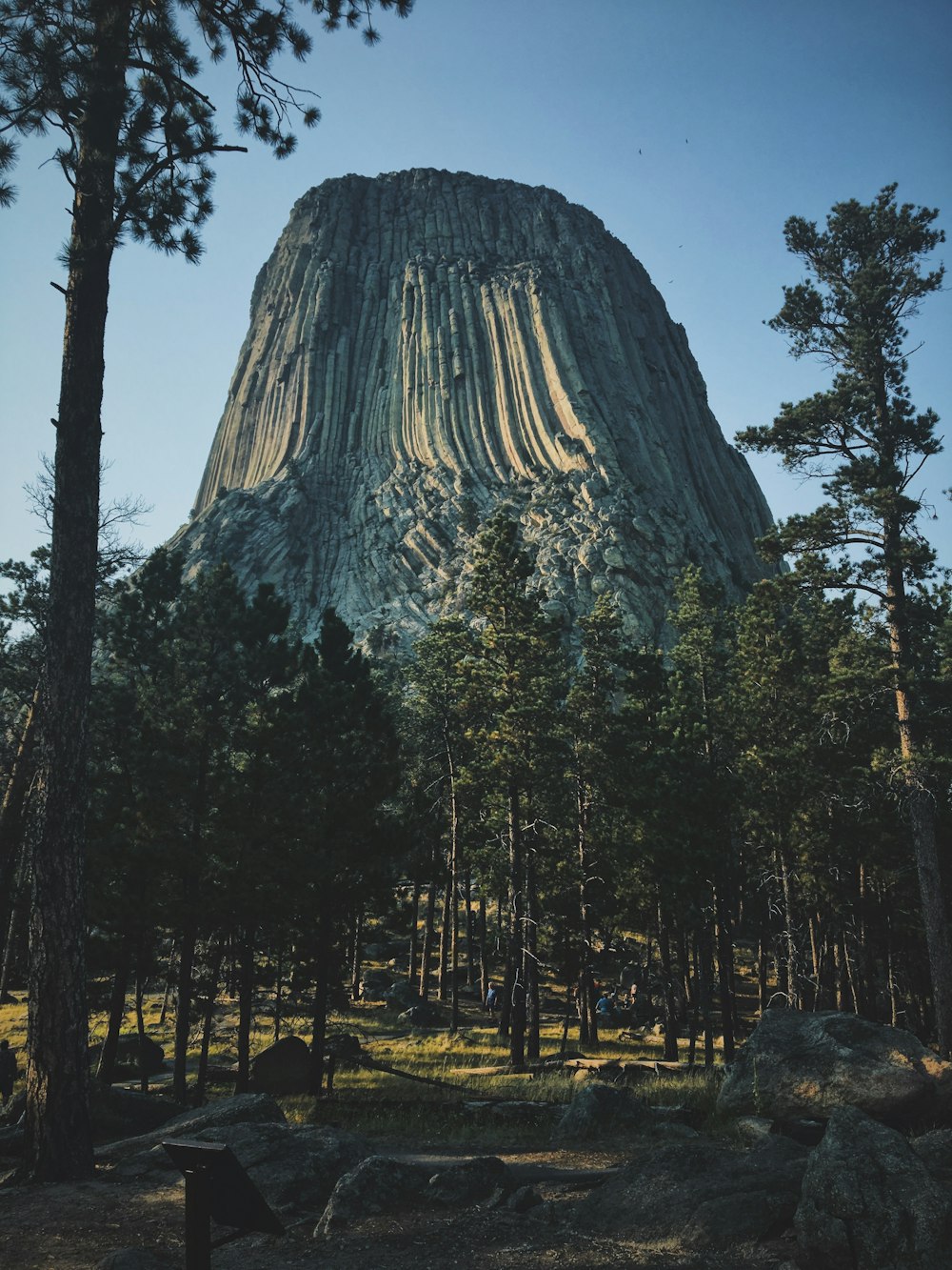 gray mountain over green leafed trees