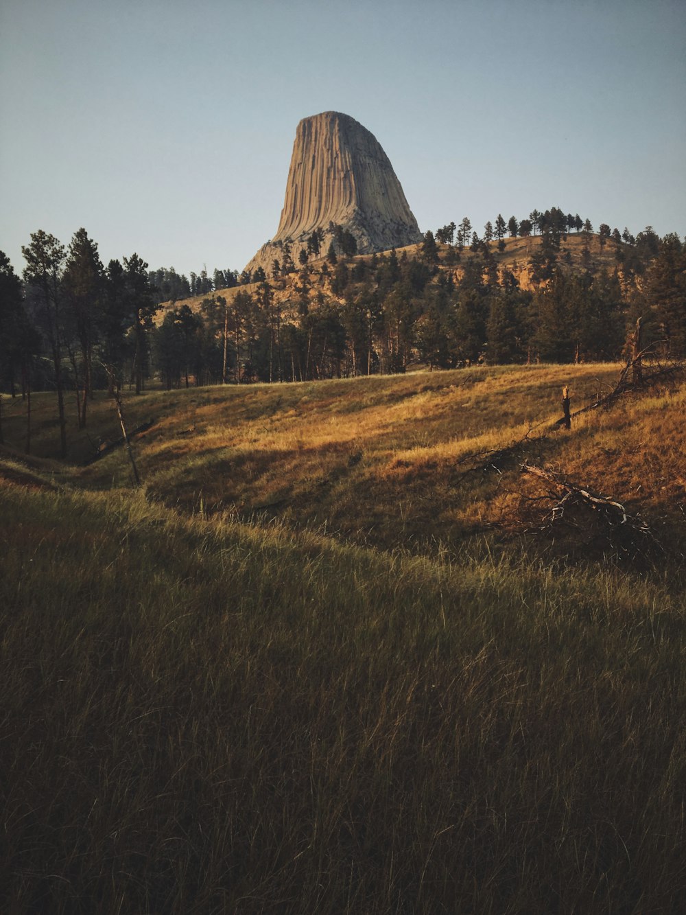 mountain surrounded by trees during daytime