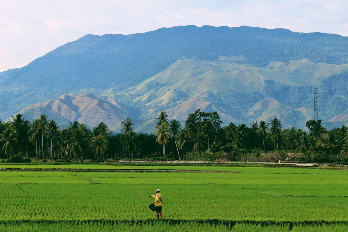 Praktik Budidaya Tanaman Jurusan Agribisnis