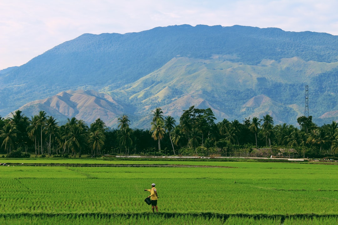 photo of Aceh Plain near Gunung Salak