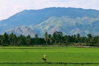 Sailor 6280 AIS Transponder