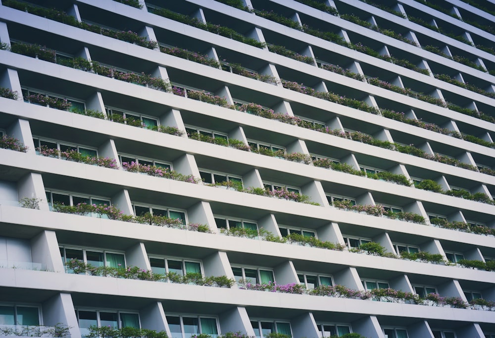 low-angle photography of white building with garden terrace