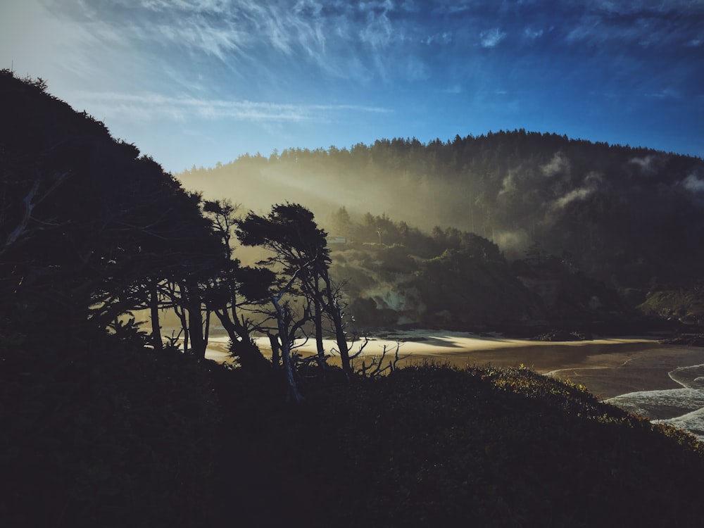 mountain with trees under blue sky