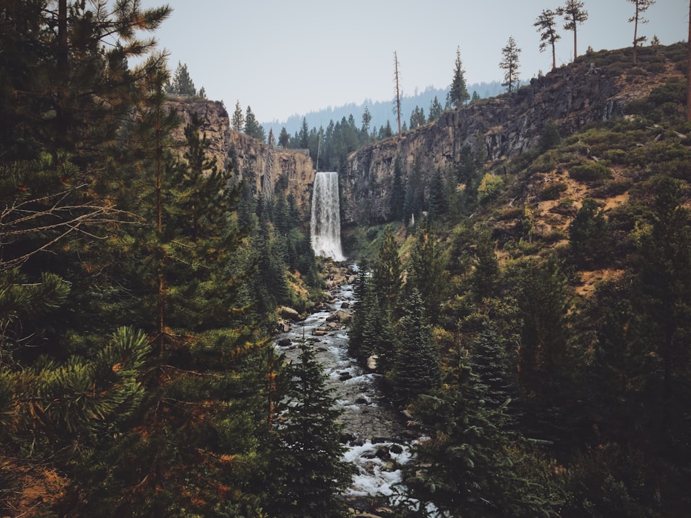 waterfall between trees and hills